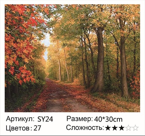 Пейзаж • Лес
